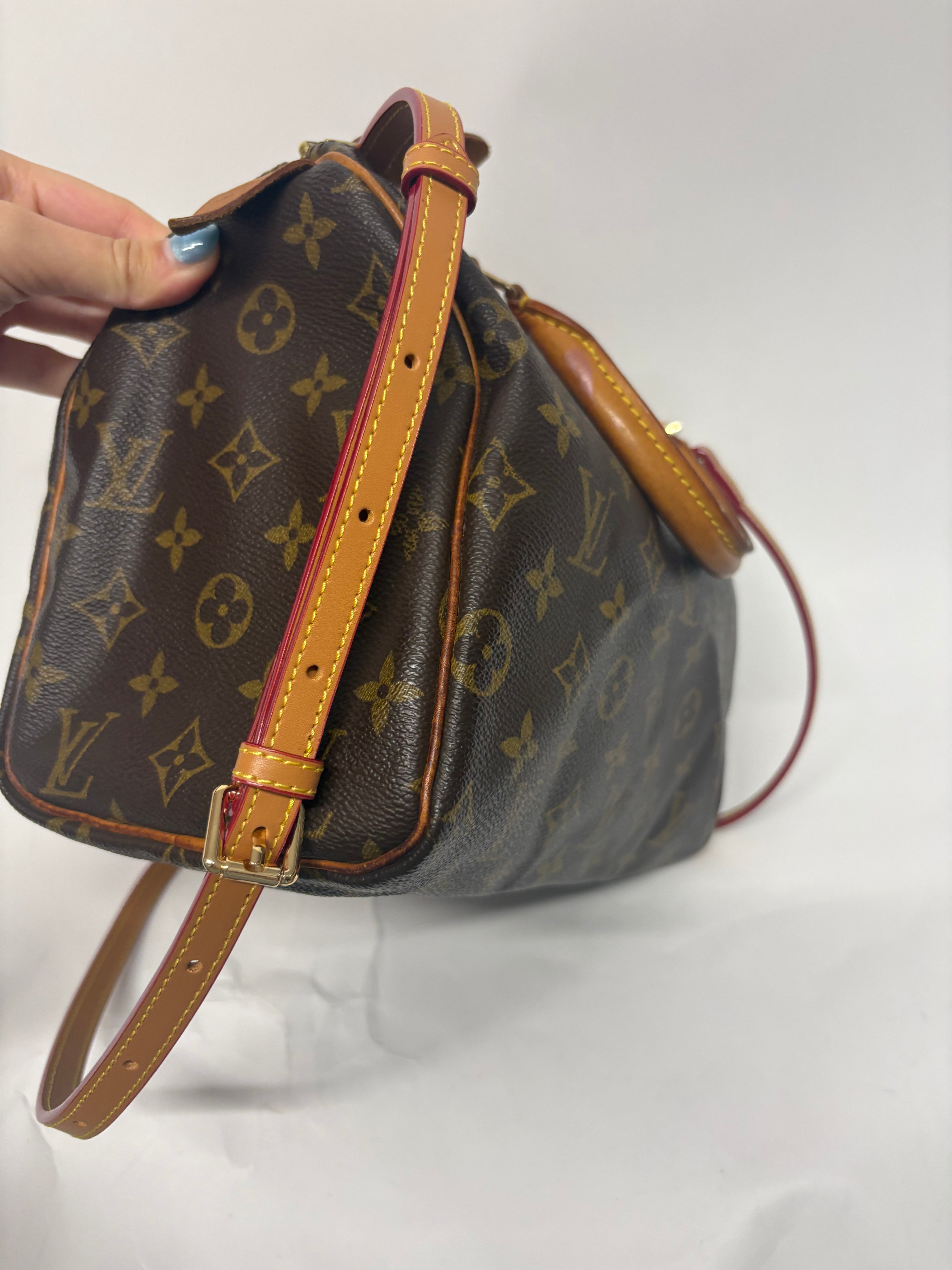 Louis Vuitton Speedy 25 Monogram