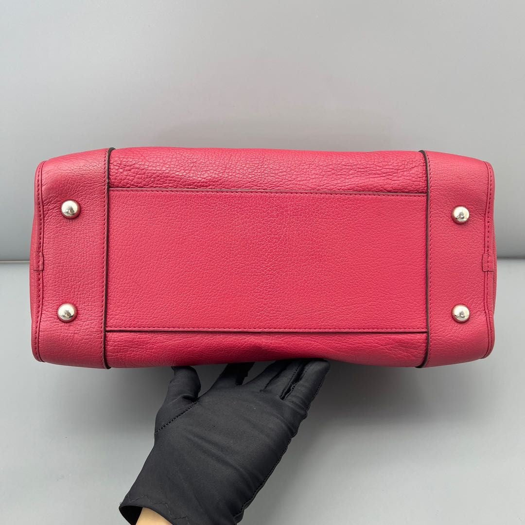 Loewe Amazona 36 rosa