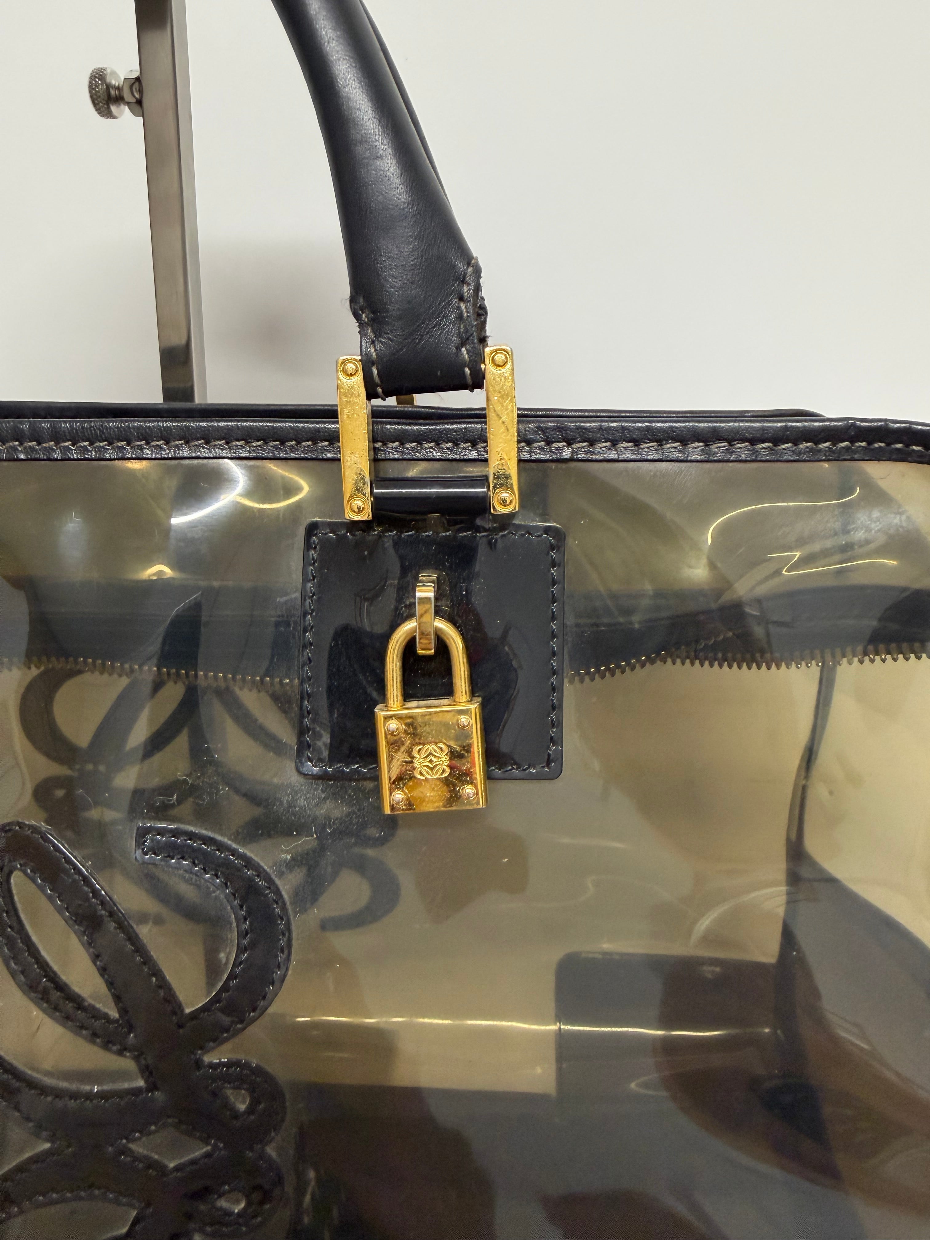 Loewe Amazona 36 Transparente con Pouch