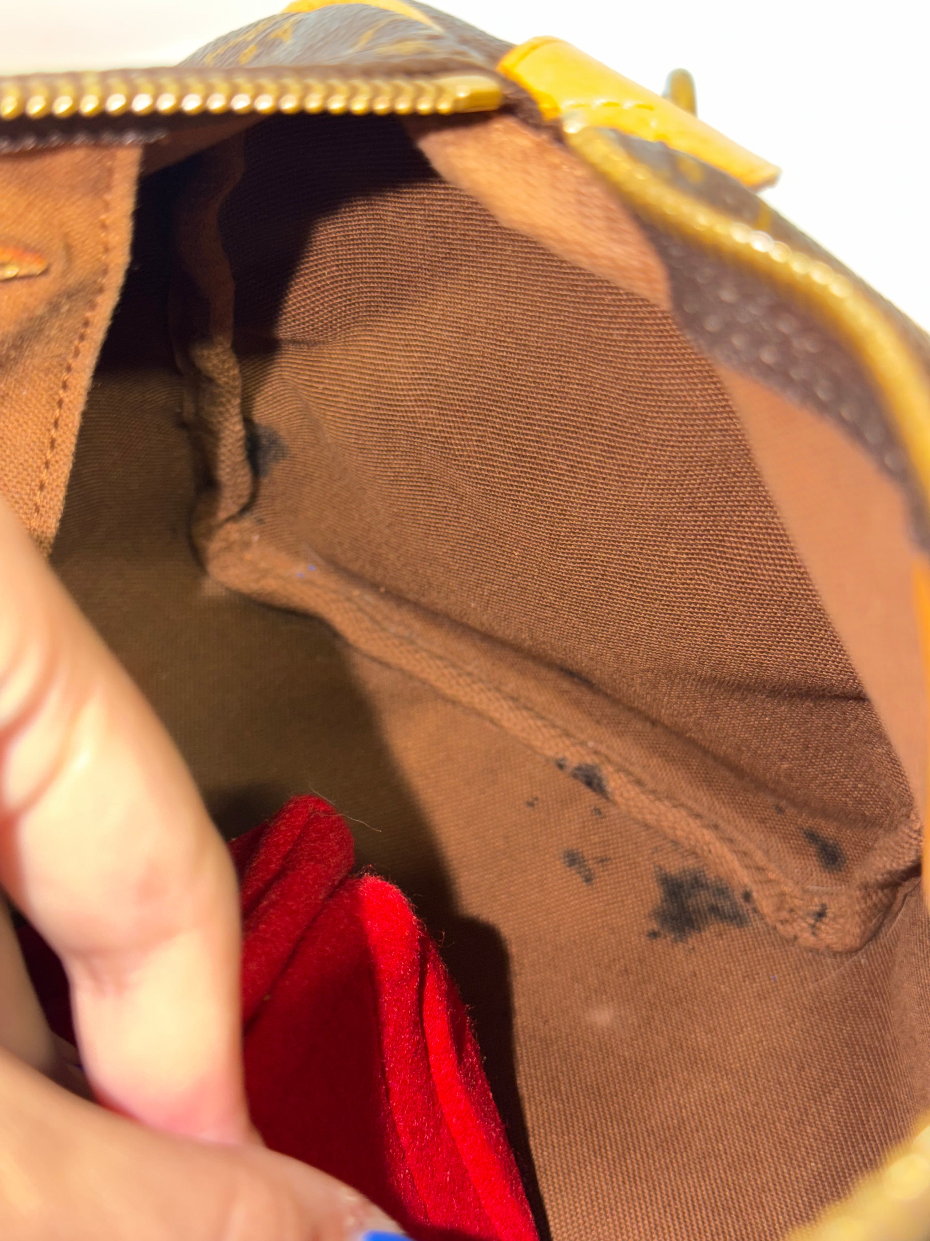 Louis Vuitton Speedy 25 | Monogram