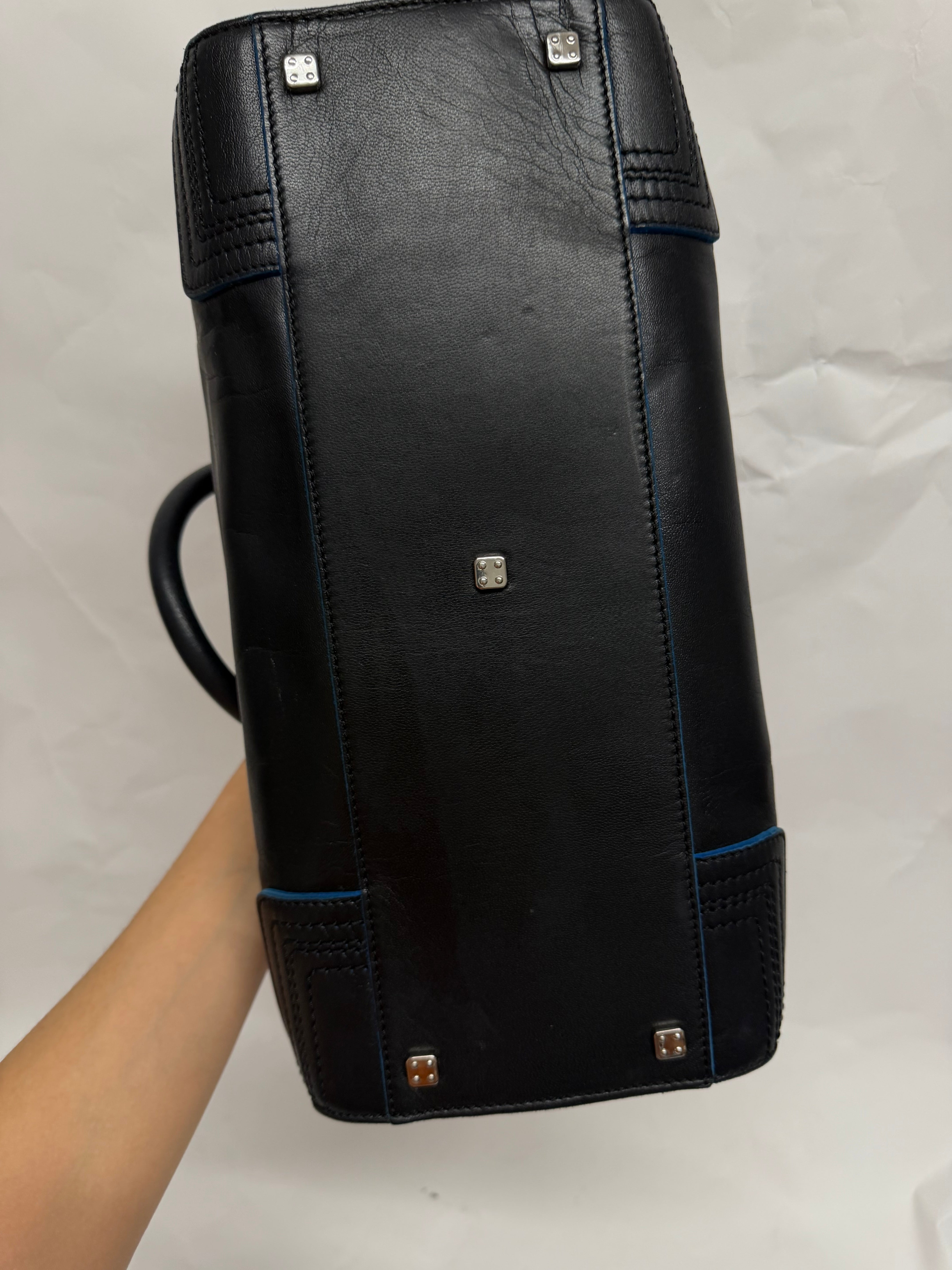 Loewe Amazona 36 Piel Negra y edición especial azul