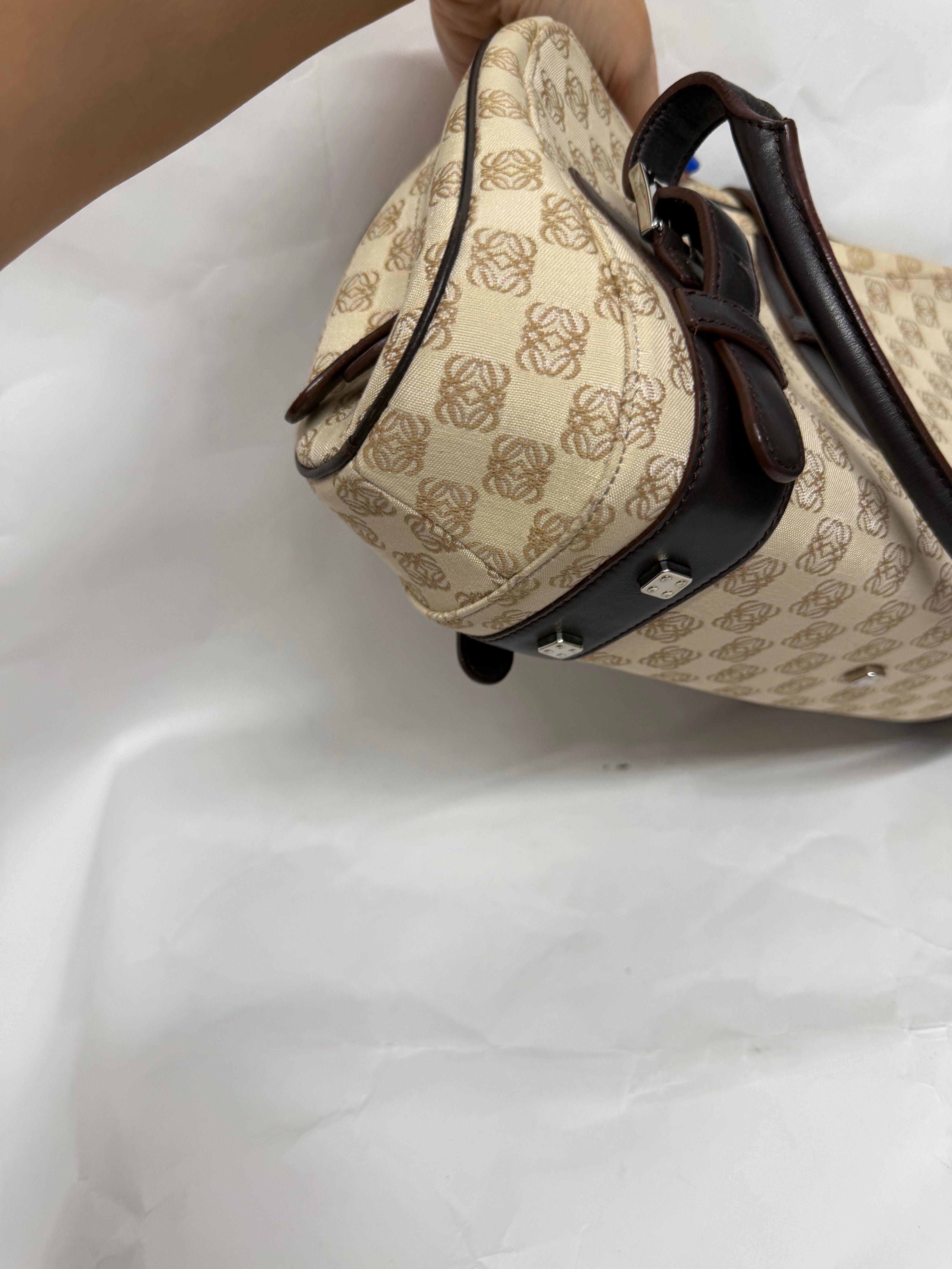 Loewe Senda Handbag Canvas Beige Brown
