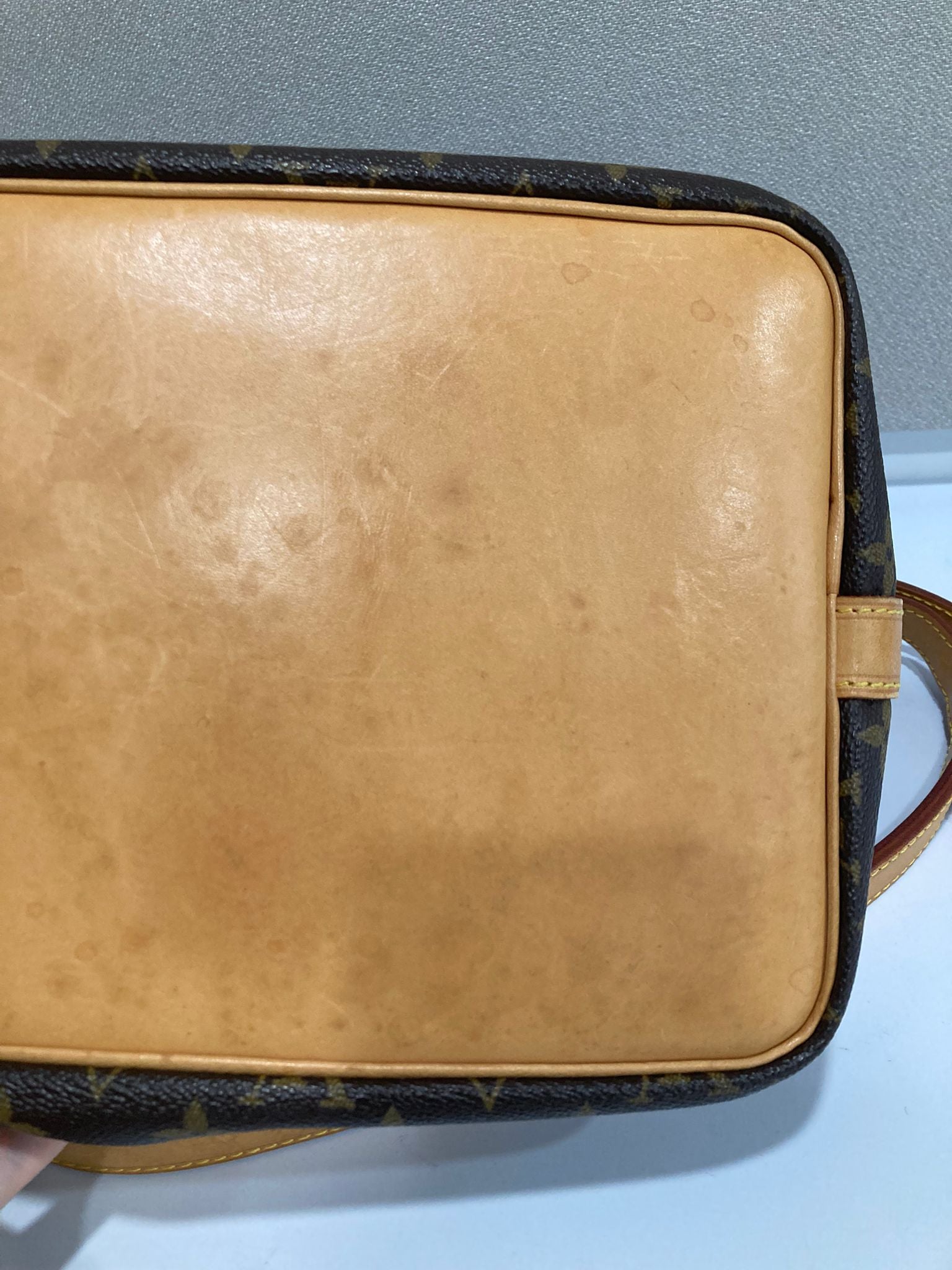 Louis Vuitton Noé Petit Monogram