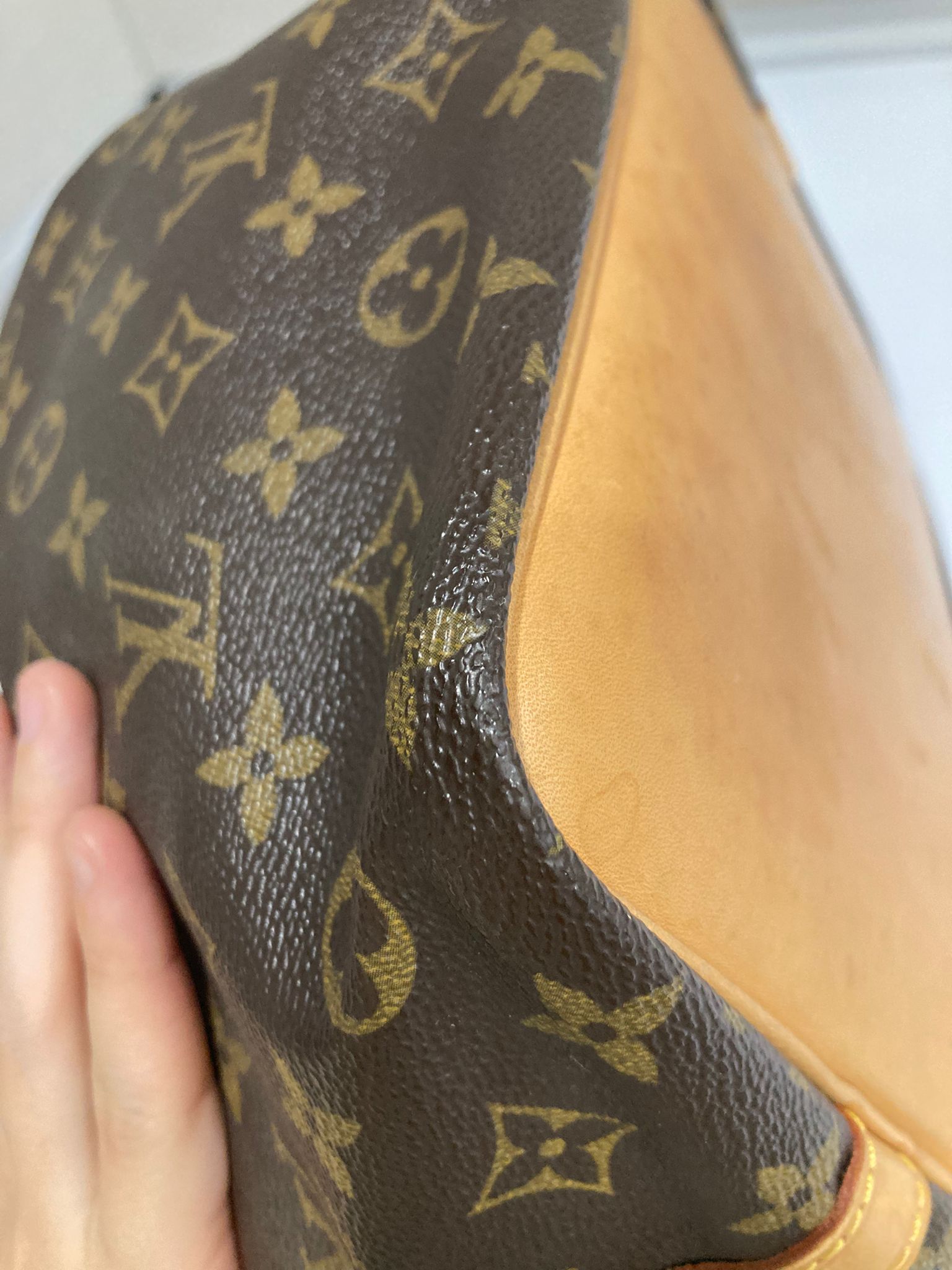 Louis Vuitton Noé Petit Monogram