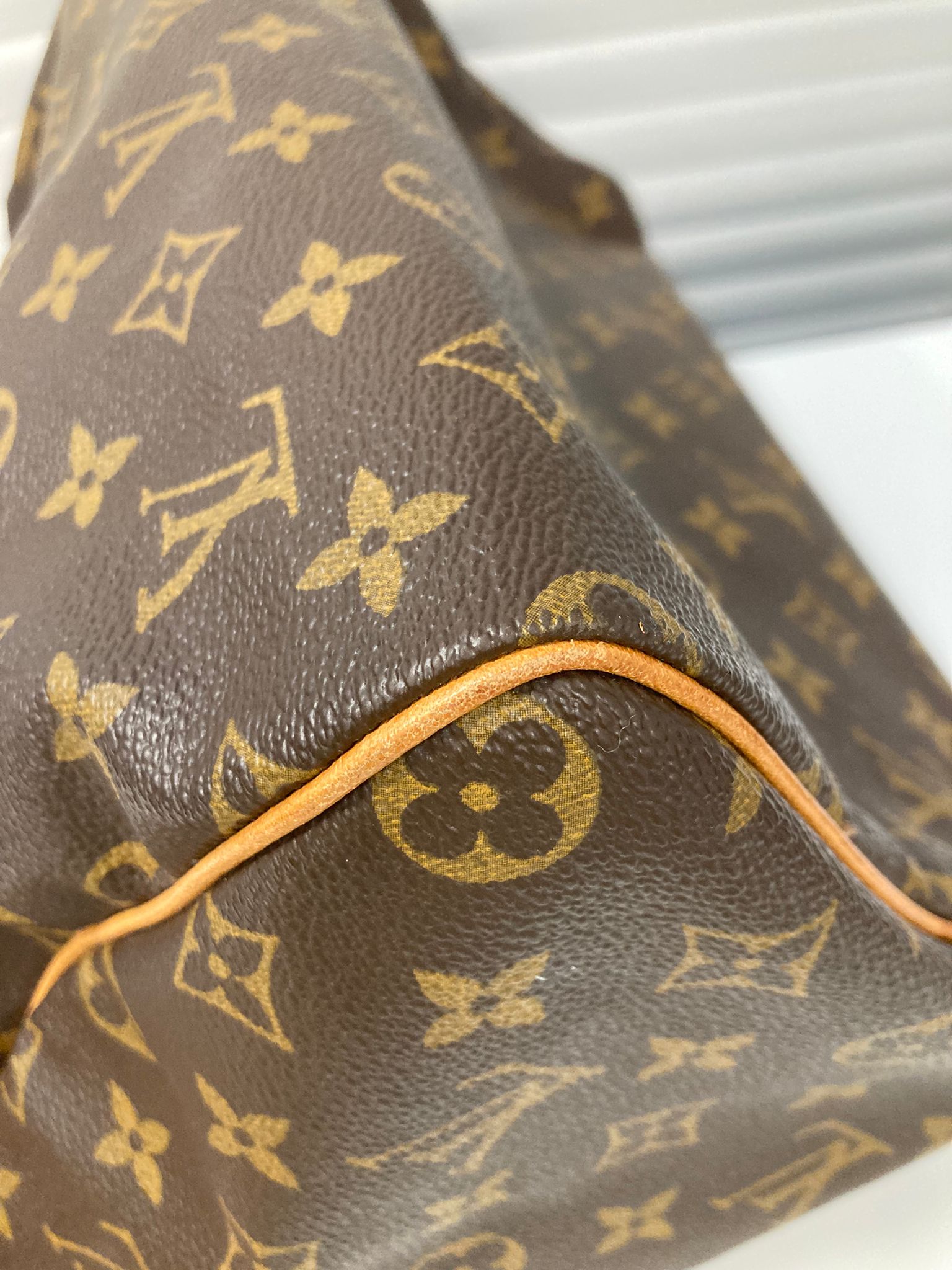 Louis Vuitton Speedy 30 Monogram