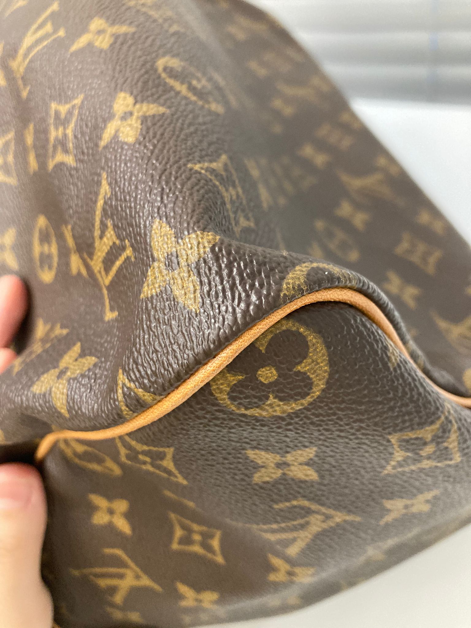 Louis Vuitton Speedy 30 Monogram