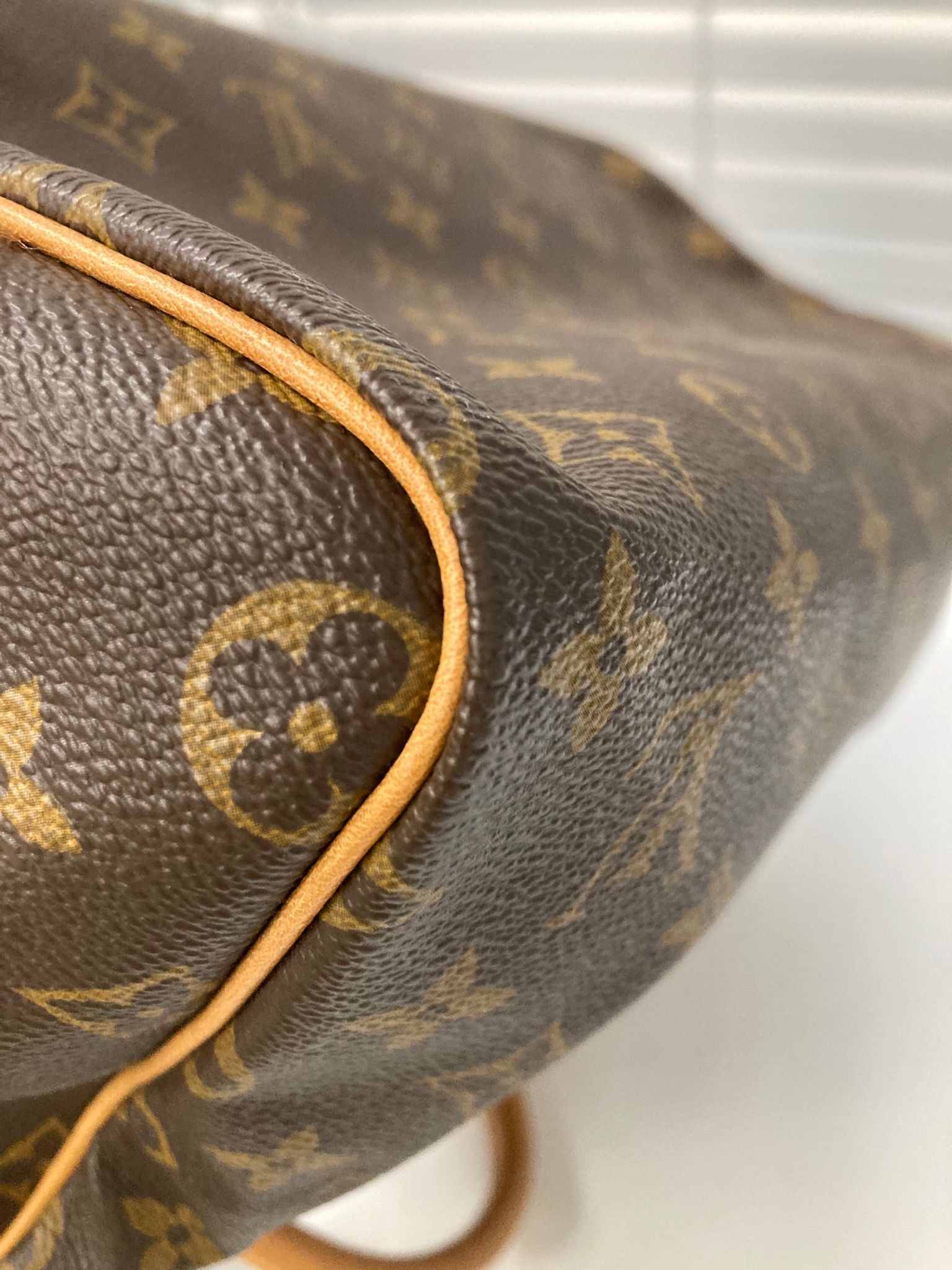 Louis Vuitton Speedy 30 Monogram