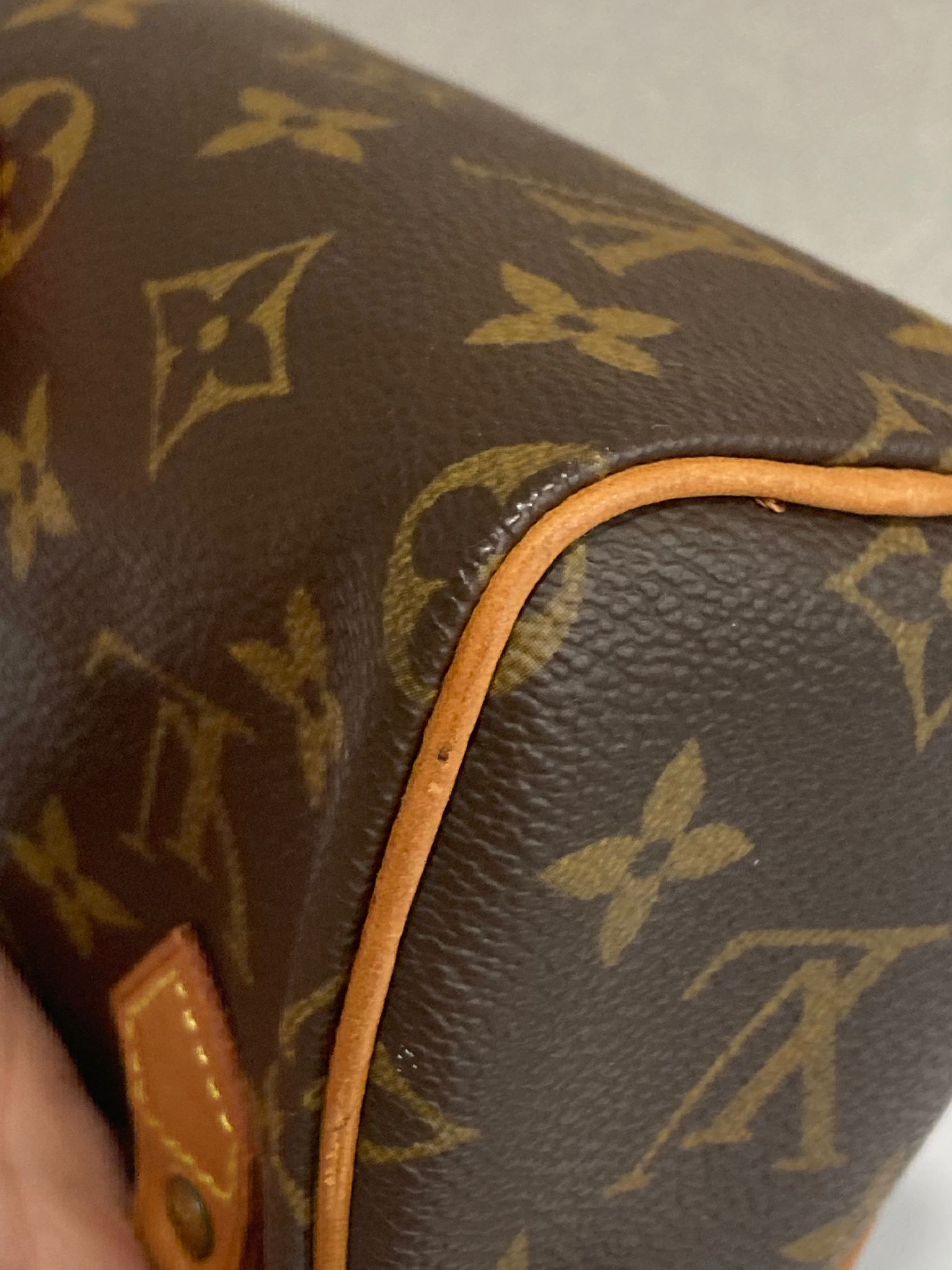 Louis Vuitton Mini Speedy con bandolera extra