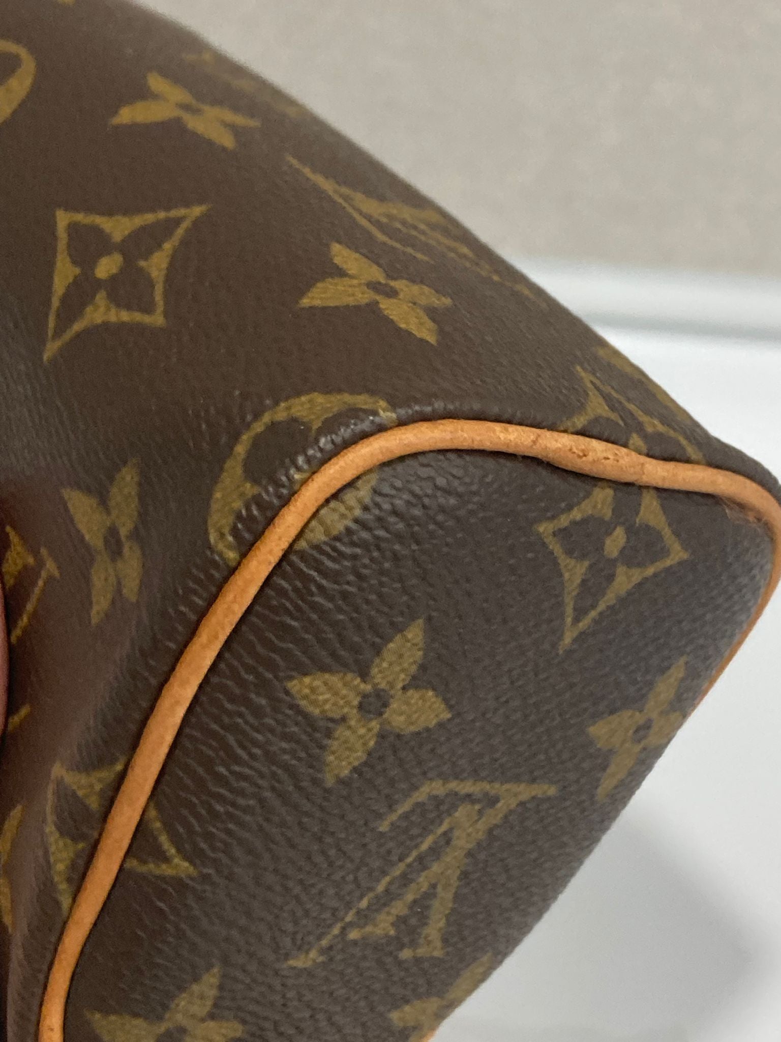 Louis Vuitton Mini Speedy con bandolera extra