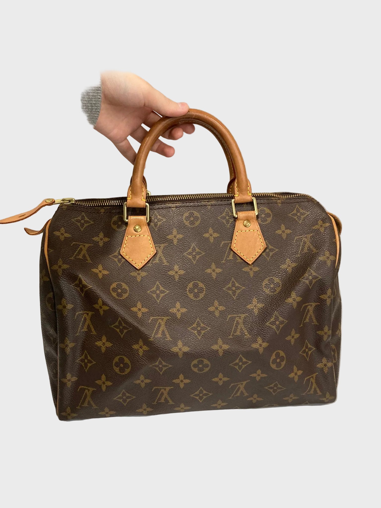 Louis Vuitton Speedy 30 Canvas monogram TH0030