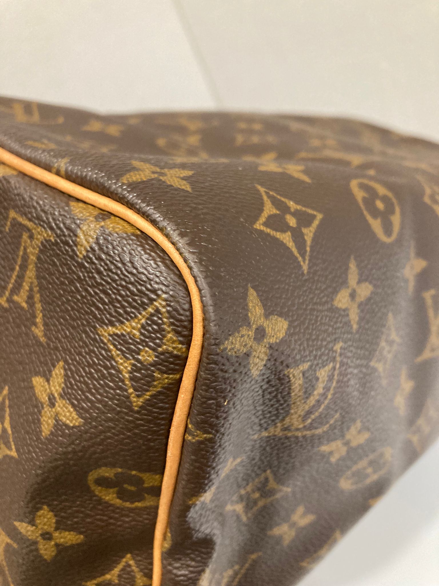 Louis Vuitton Speedy 30 Canvas monogram TH0030
