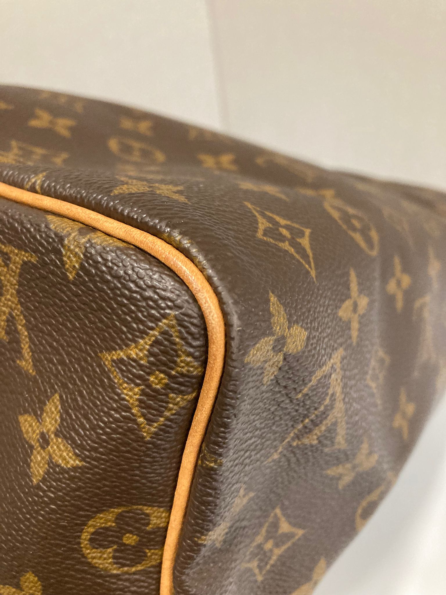 Louis Vuitton Speedy 30 Canvas monogram TH0030