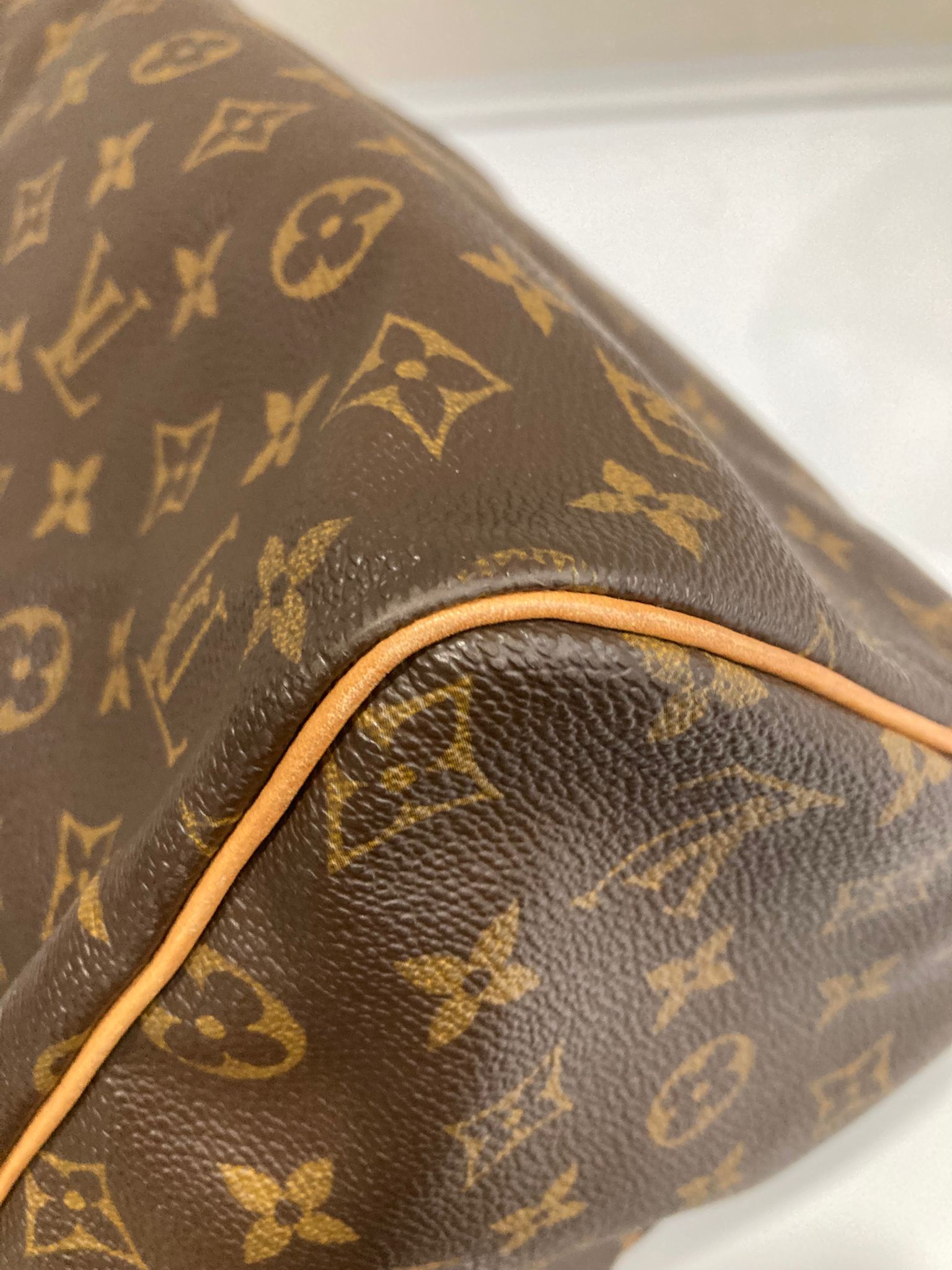Louis Vuitton Speedy 30 Canvas monogram TH0030