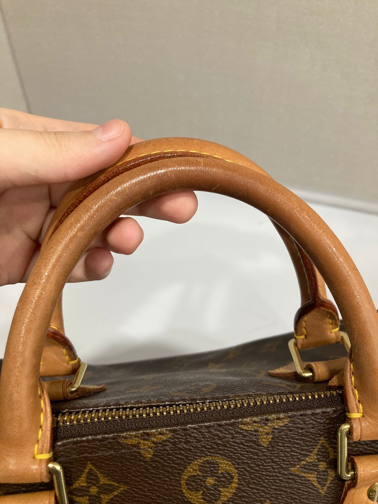 Louis Vuitton Speedy 30 Canvas monogram TH0030