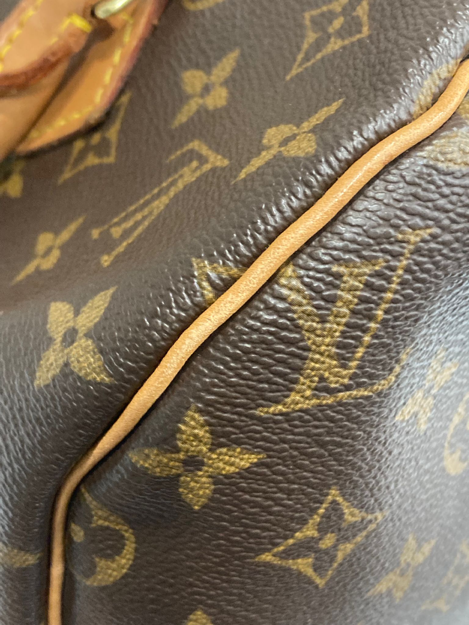 Louis Vuitton Speedy 30 Canvas monogram TH0030
