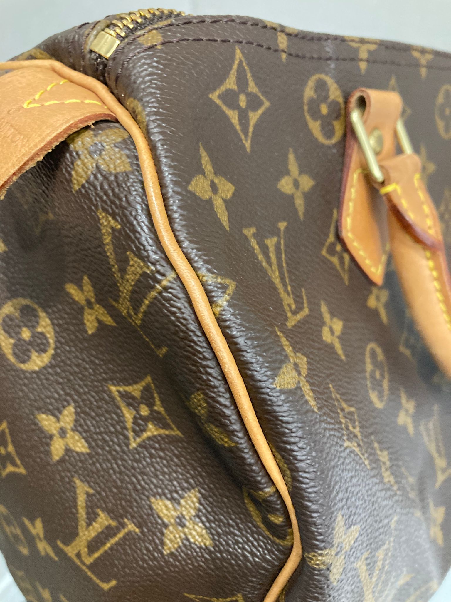 Louis Vuitton Speedy 30 Canvas monogram TH0030