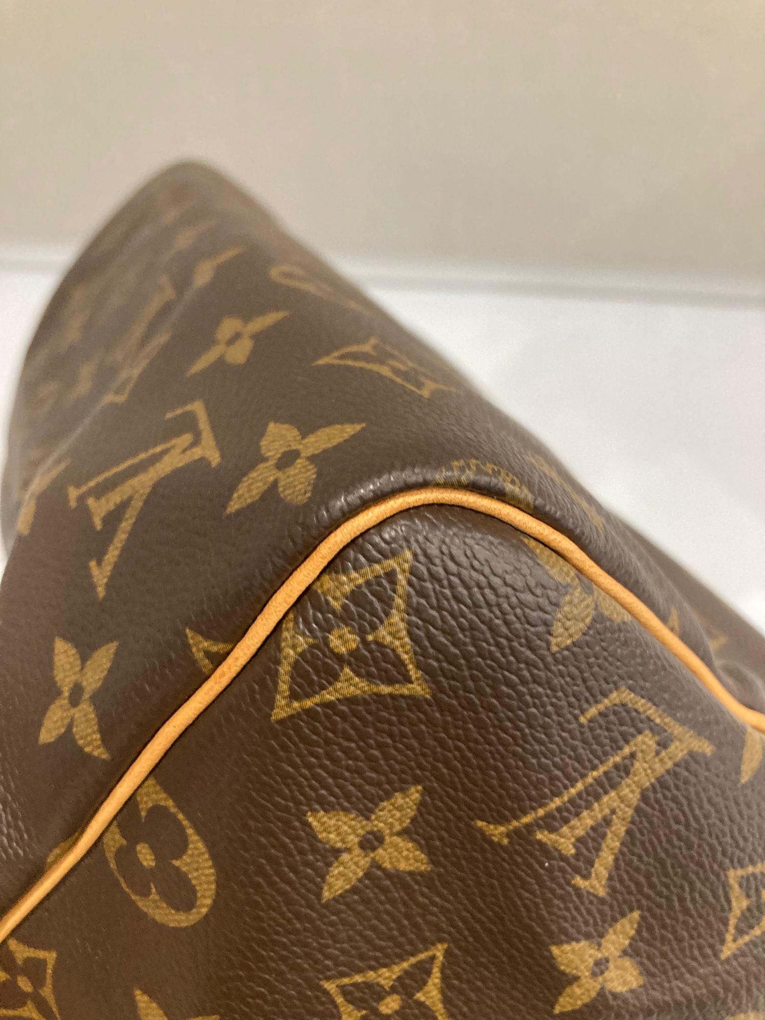 Louis Vuitton Speedy 30 Canvas Monogram AA0045