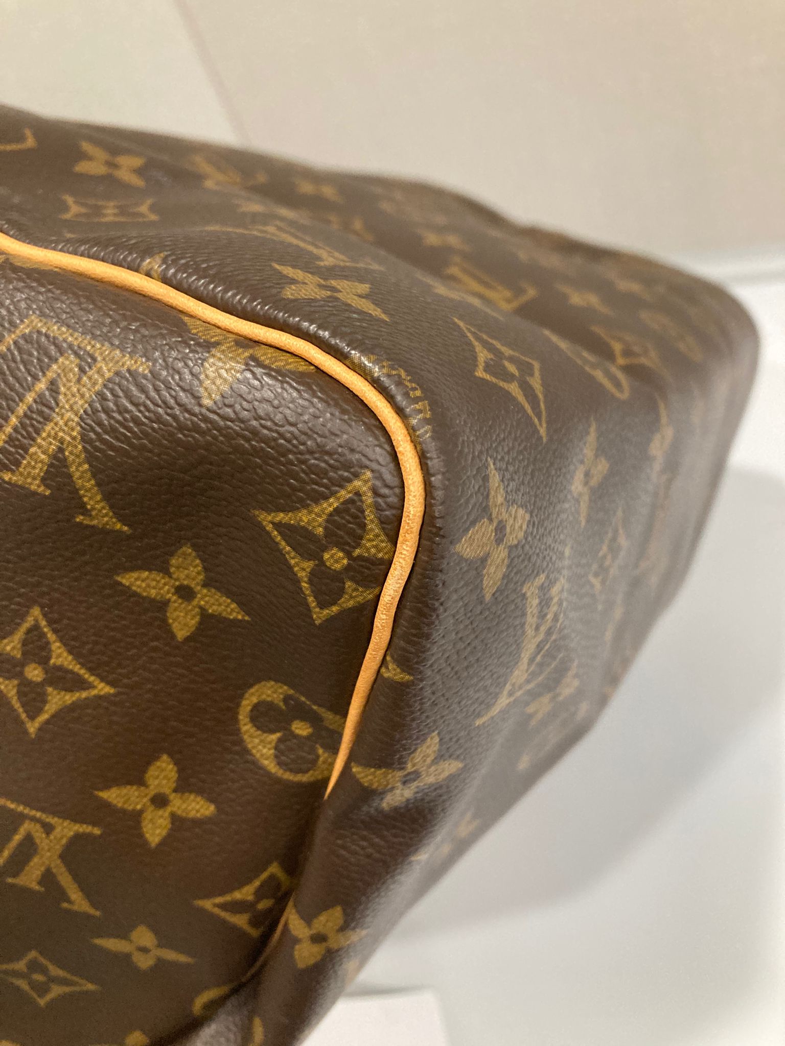 Louis Vuitton Speedy 30 Canvas Monogram AA0045