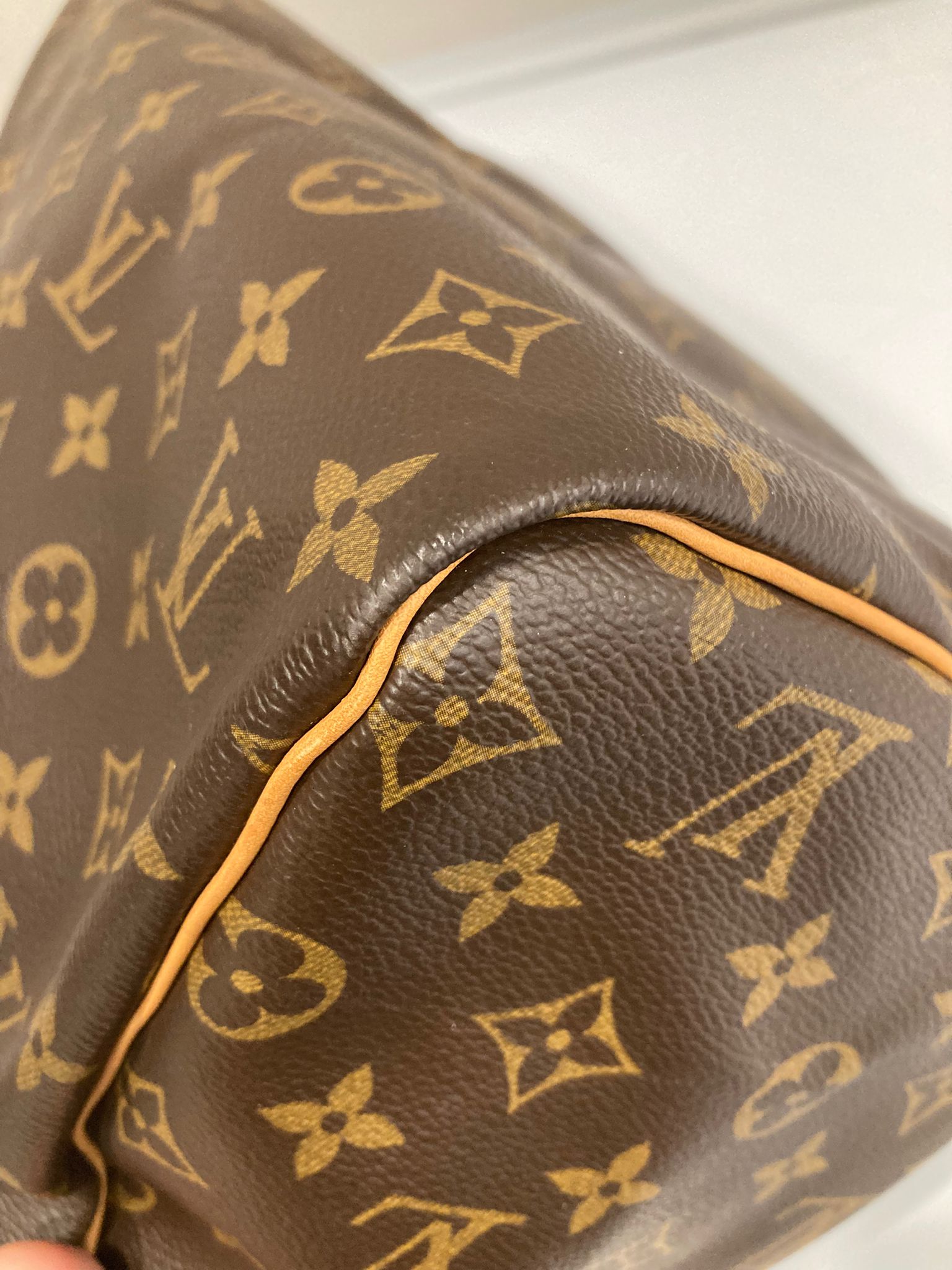 Louis Vuitton Speedy 30 Canvas Monogram AA0045