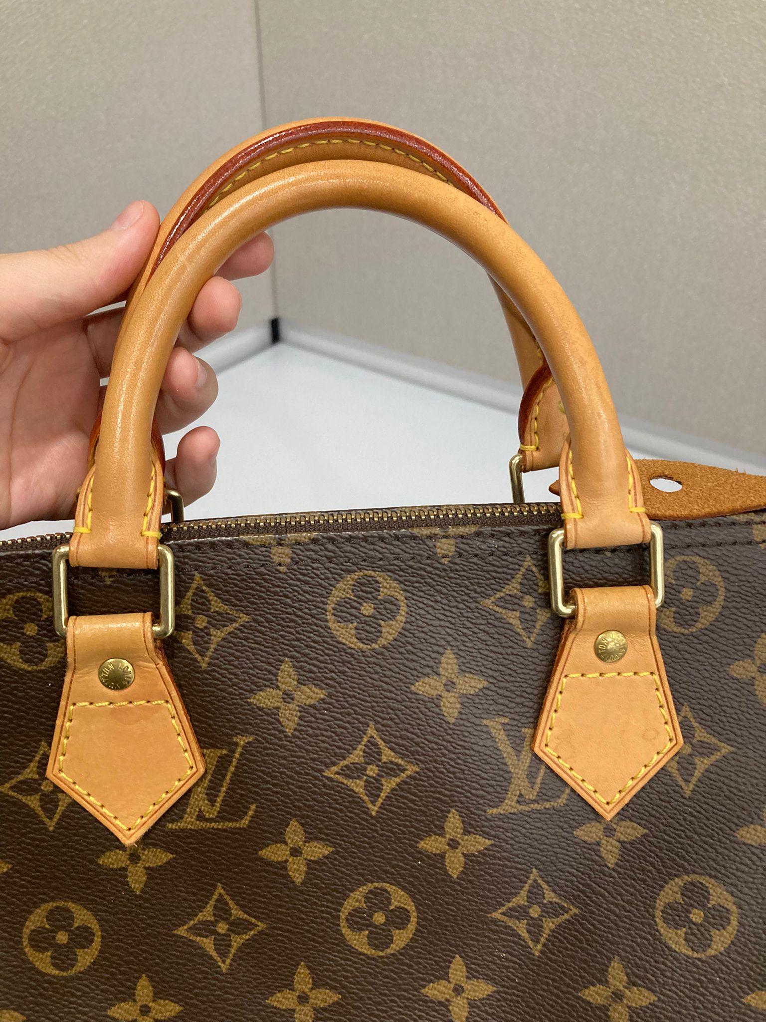 Louis Vuitton Speedy 30 Canvas Monogram AA0045
