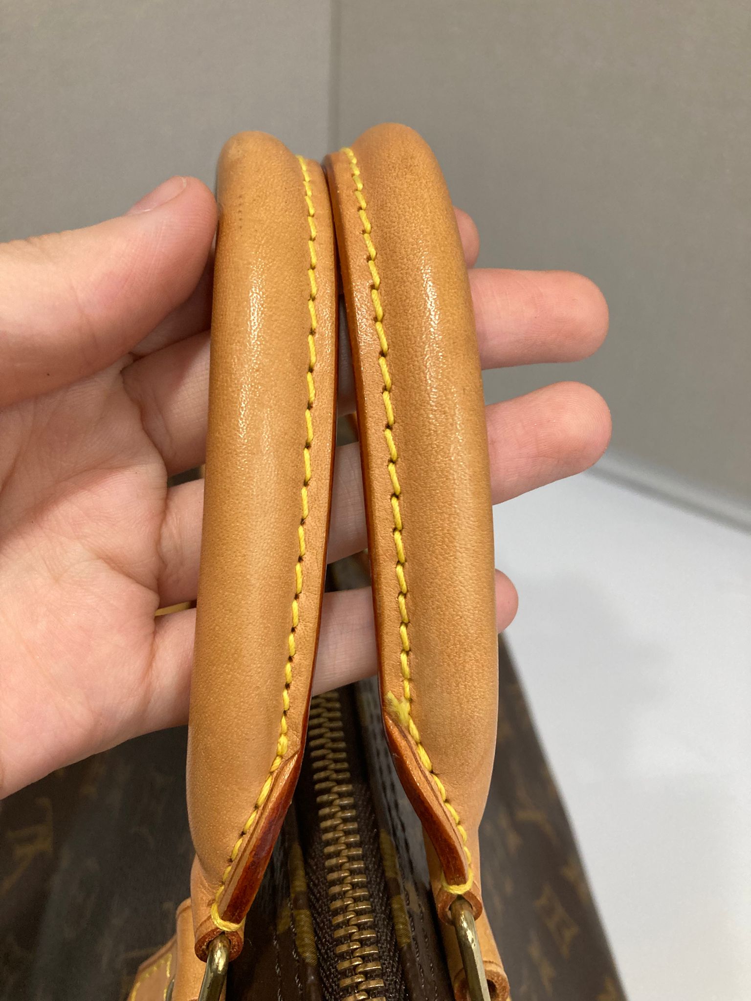 Louis Vuitton Speedy 30 Canvas Monogram AA0045