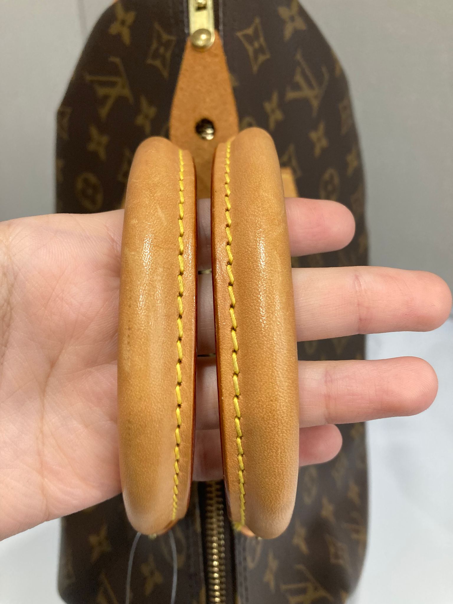 Louis Vuitton Speedy 30 Canvas Monogram AA0045