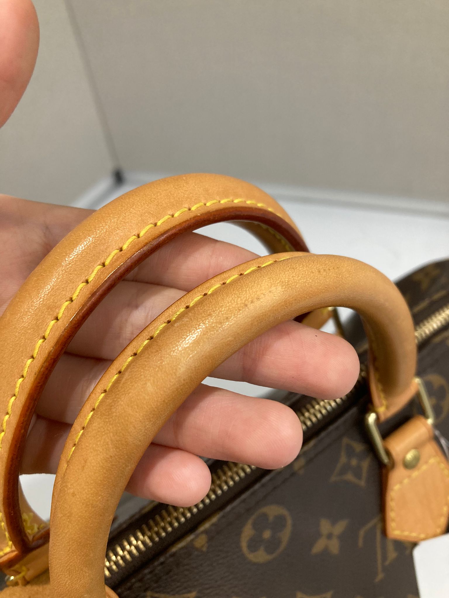 Louis Vuitton Speedy 30 Canvas Monogram AA0045
