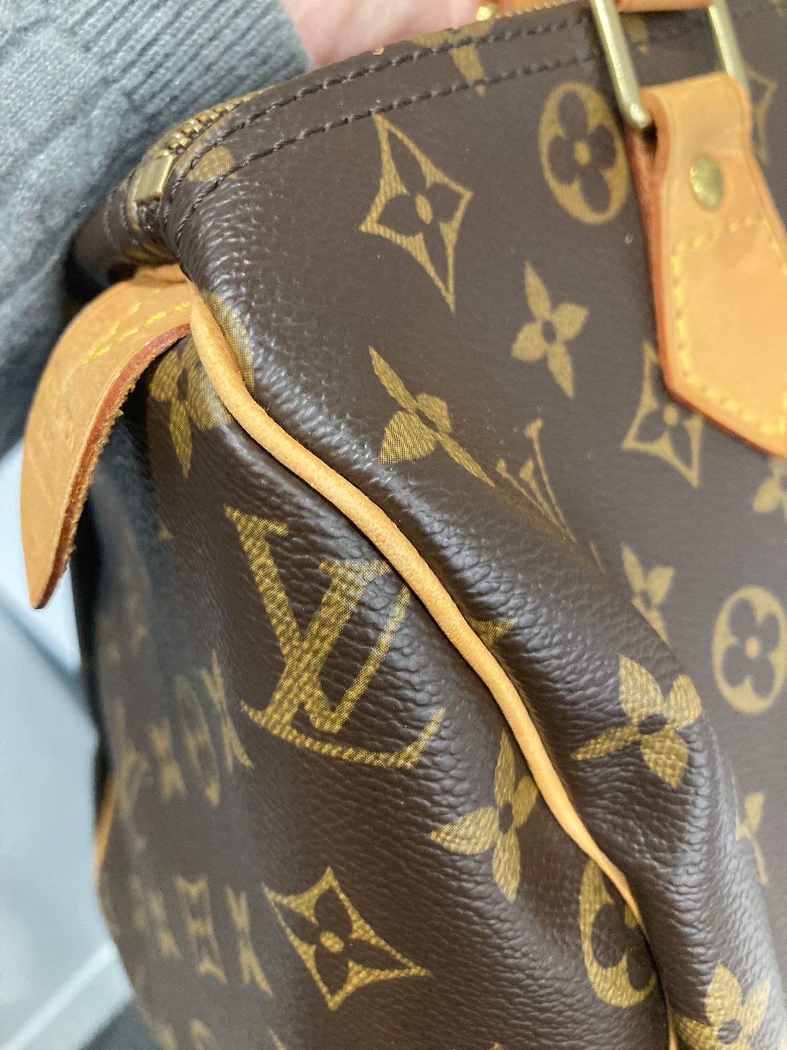 Louis Vuitton Speedy 30 Canvas Monogram AA0045