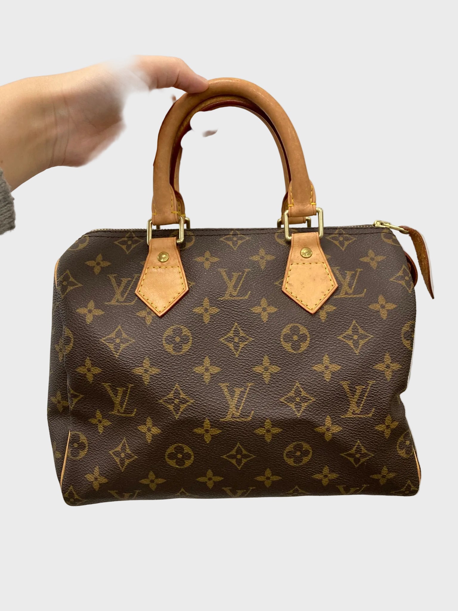 Louis Vuitton Speedy 25 Monogram