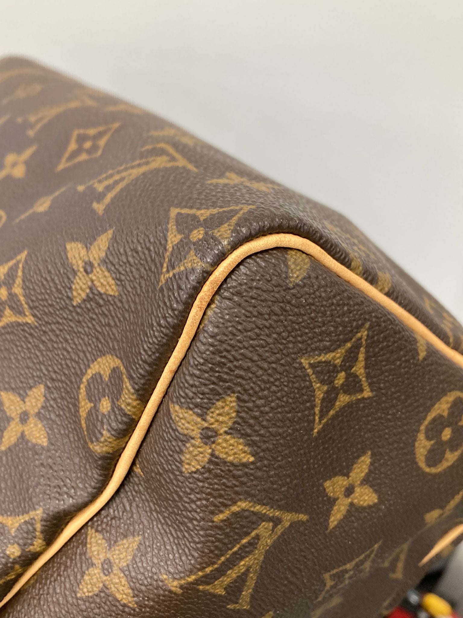 Louis Vuitton Speedy 25 Monogram