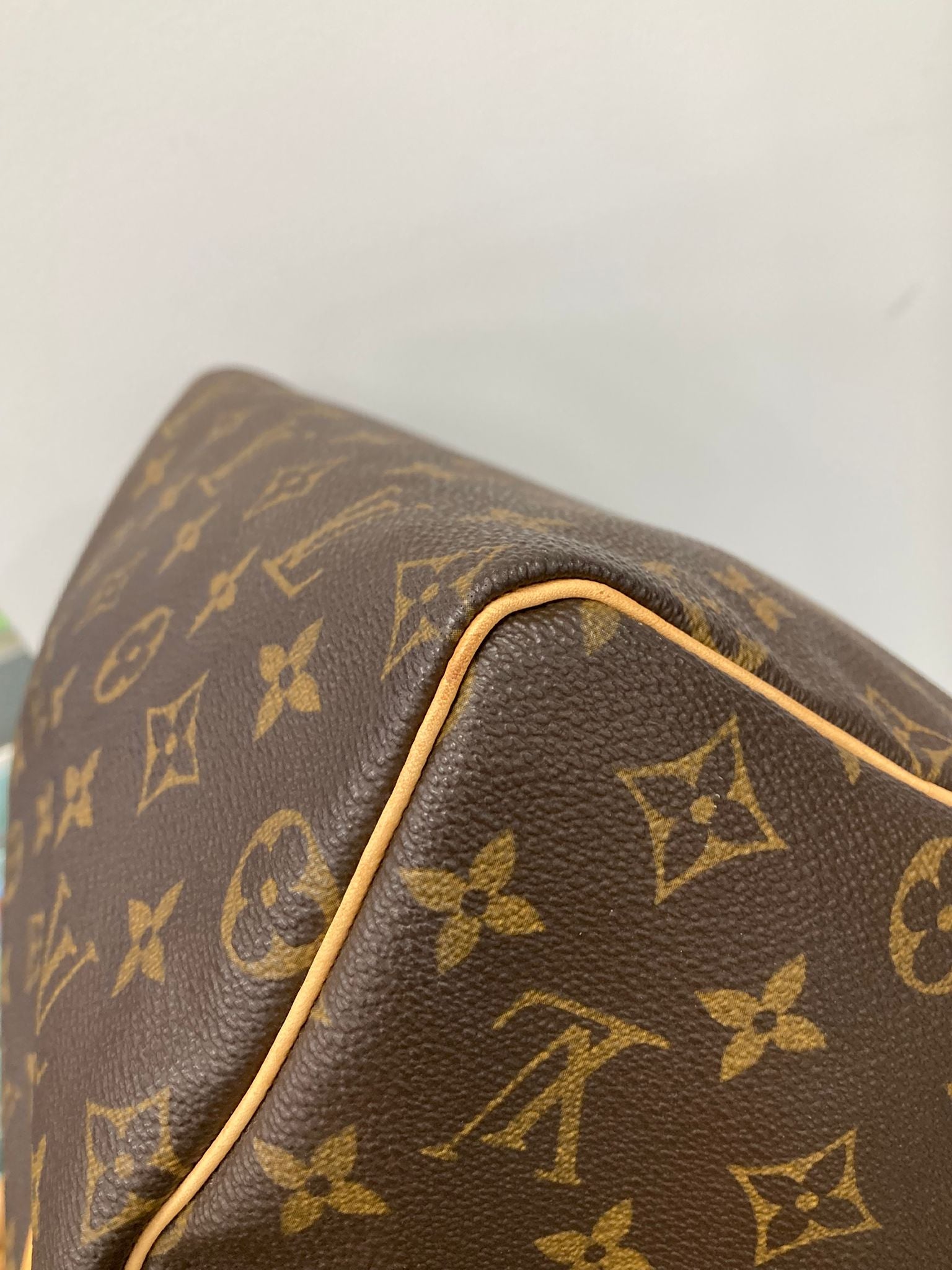 Louis Vuitton Speedy 25 Monogram