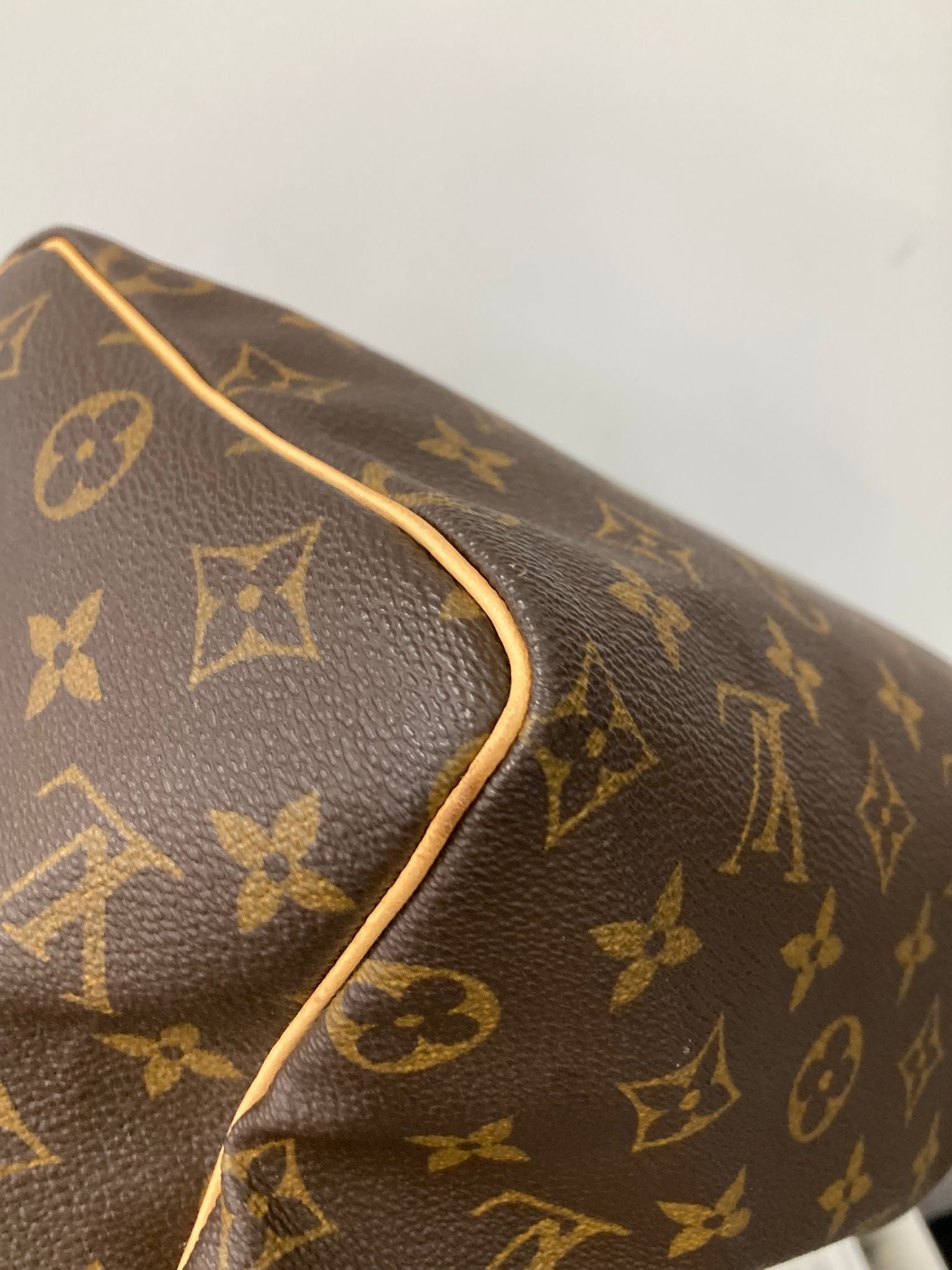 Louis Vuitton Speedy 25 Monogram