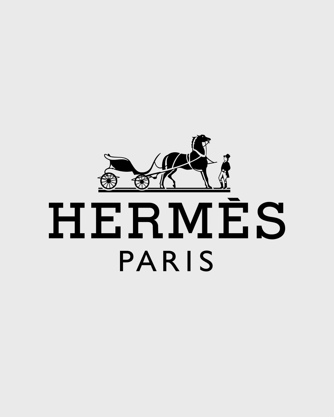 Certificado Entrupy Hermes