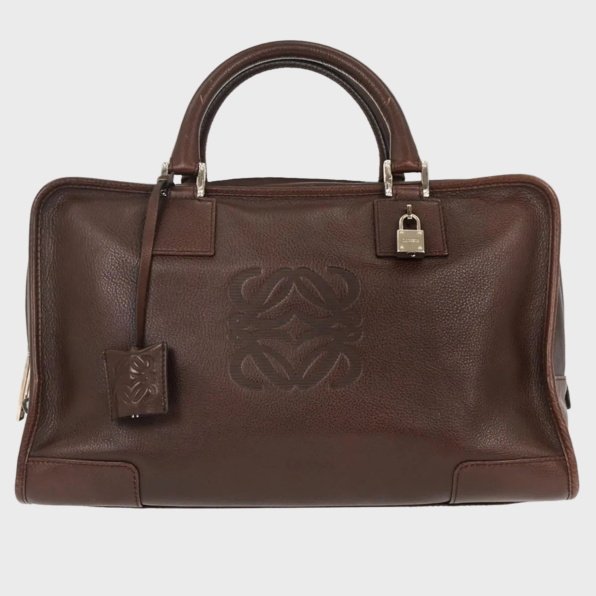 Loewe Amazona 36 Piel Marrón y herajes plata